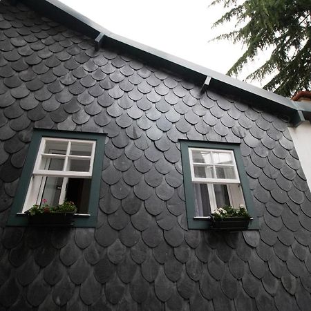 Casa Da Avo Zirinha Villa Viseu Eksteriør billede